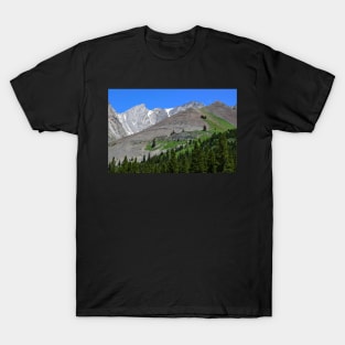 Summer Mountain Scene. T-Shirt